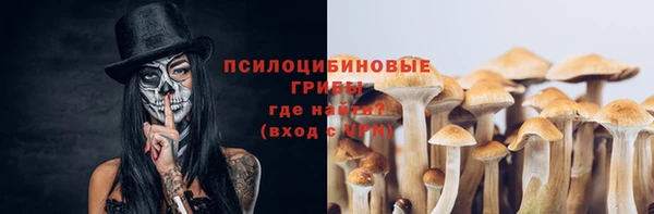 шишки Алзамай