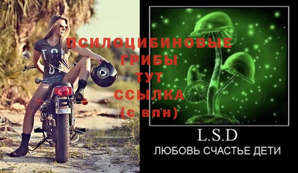 шишки Алзамай