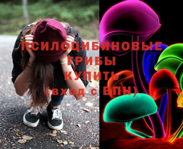 шишки Алзамай
