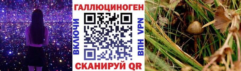 Галлюциногенные грибы MAGIC MUSHROOMS  маркетплейс состав  kraken как зайти  Верещагино  что такое наркотик 